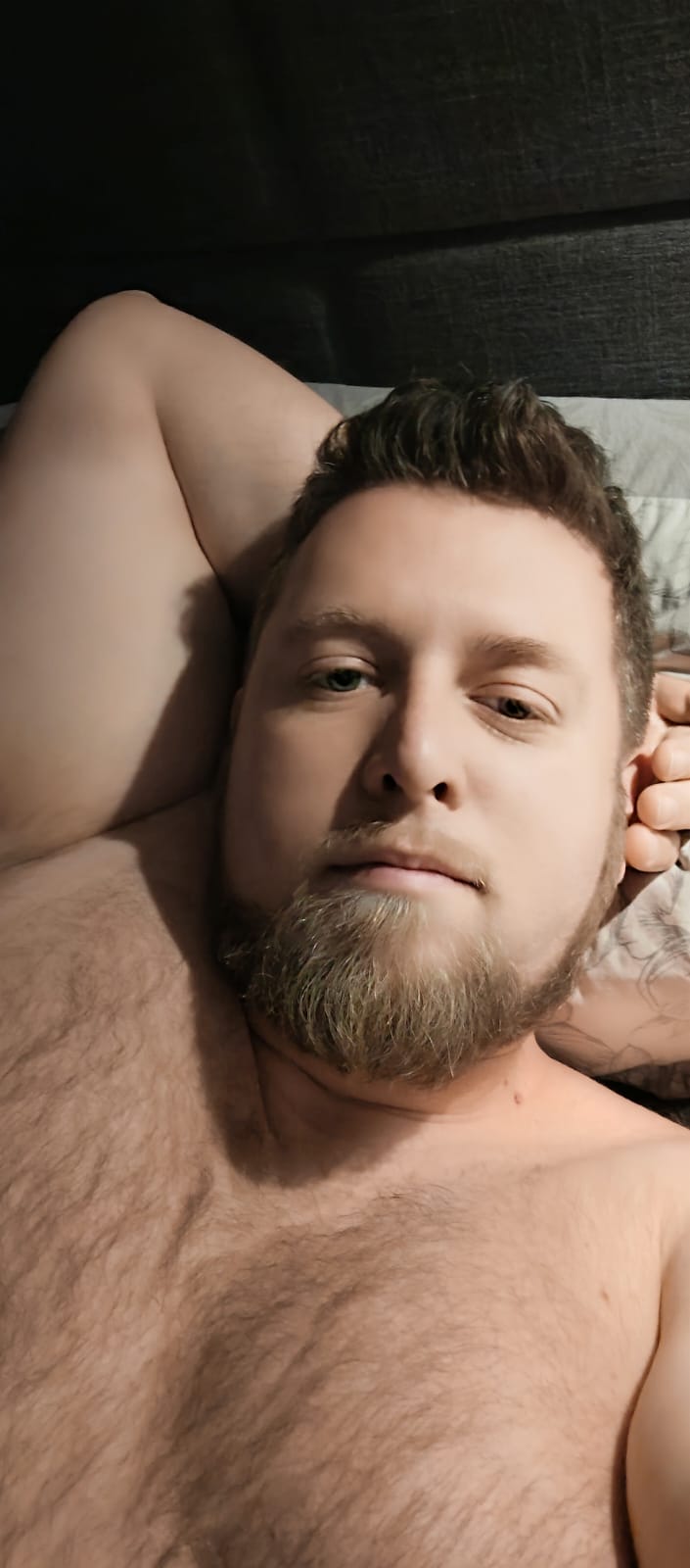 Profil de Hacene, 37 ans, Annonce Gay à Lentzweiler