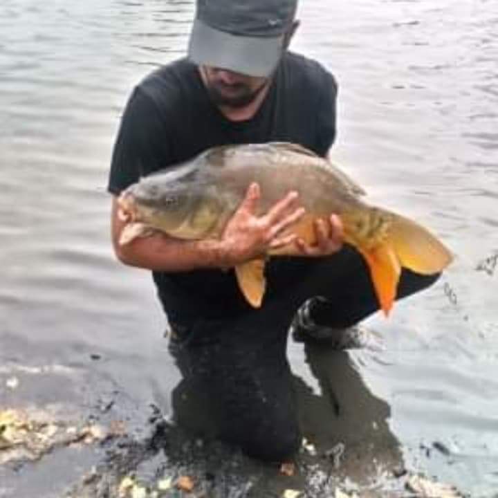 Profil de Bertin, 38 ans, Annonce Gay à Neidhausen