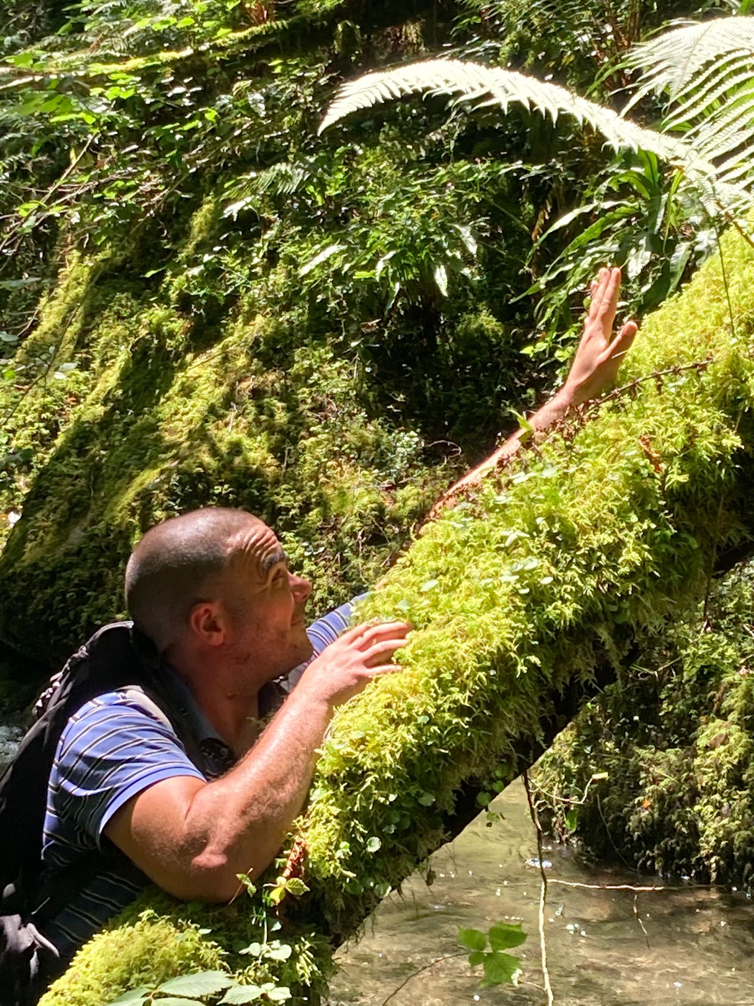 Profil de Baba, 41 ans, Annonce Gay à Steinheim
