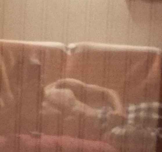 Profil de Yilmaz, 23 ans, Annonce Gay à Buederscheid