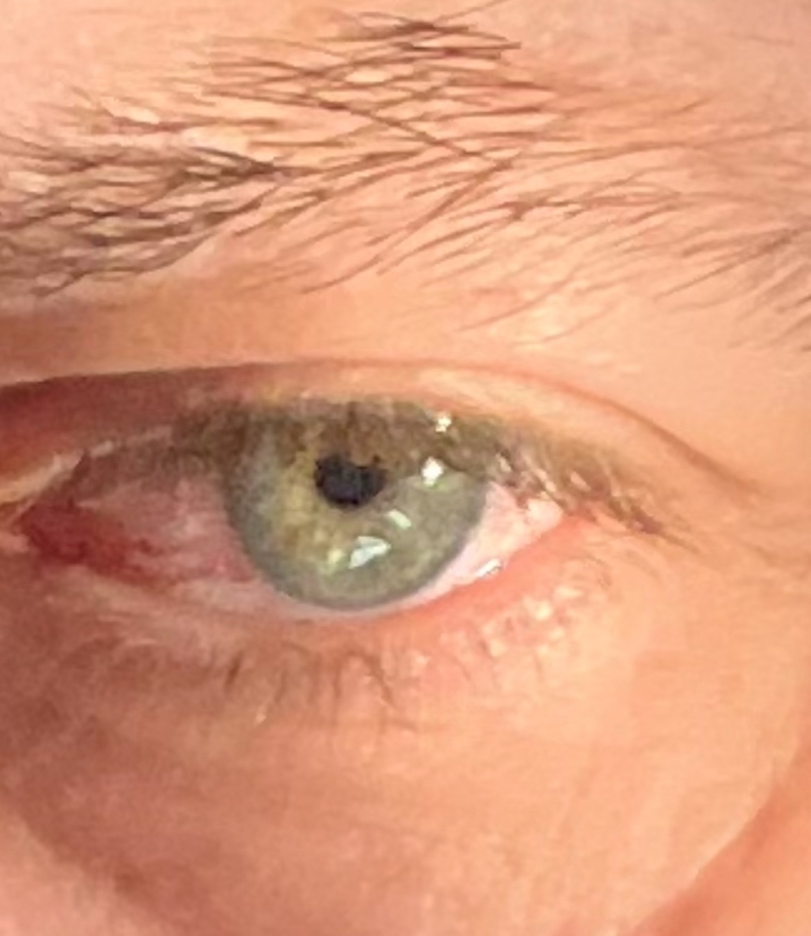 Profil de Tonin, 49 ans, Annonce Gay à Weiler