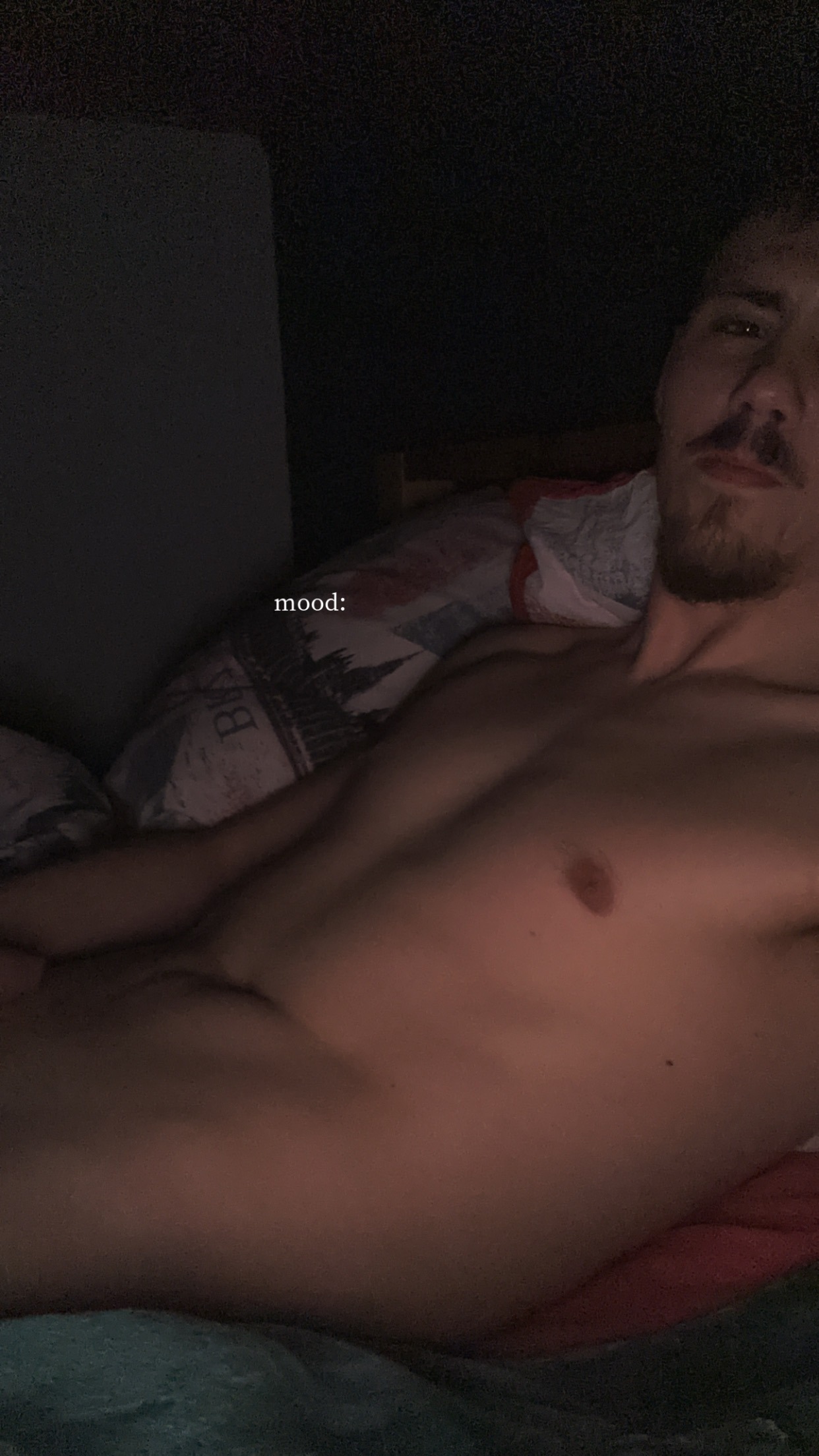 Profil de Shani, 24 ans, Annonce Gay à Bockholtz